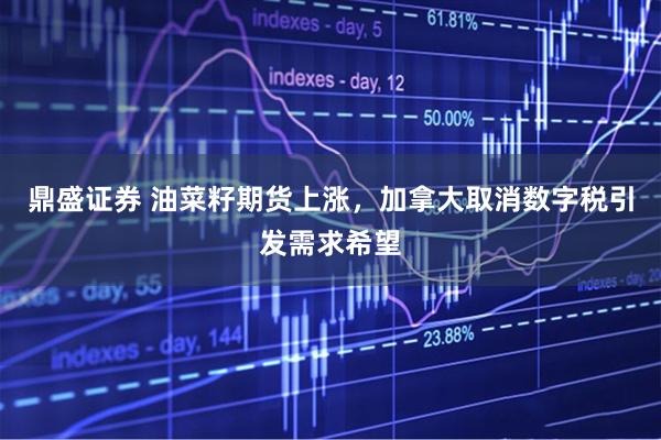 鼎盛证券 油菜籽期货上涨，加拿大取消数字税引发需求希望