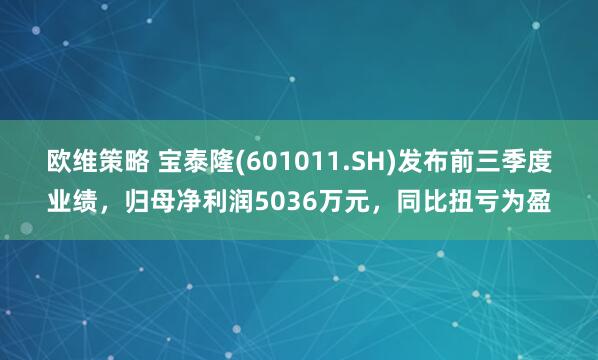 欧维策略 宝泰隆(601011.SH)发布前三季度业绩,归母净利润5036万元,同比扭亏为盈
