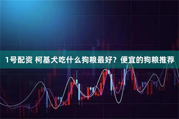 1号配资 柯基犬吃什么狗粮最好?便宜的狗粮推荐