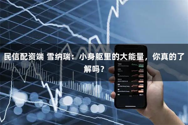 民信配资端 雪纳瑞:小身躯里的大能量,你真的了解吗?