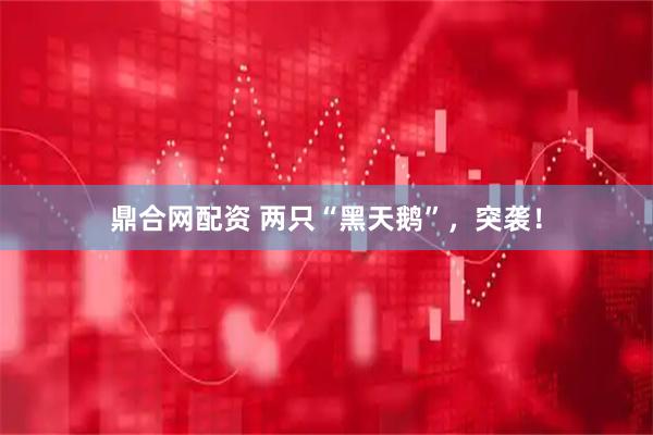 鼎合网配资 两只“黑天鹅”,突袭!
