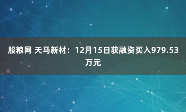 股粮网 天马新材：12月15日获融资买入979.53万元