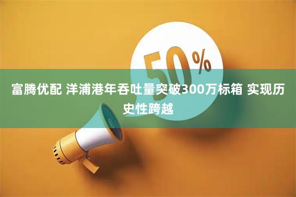 富腾优配 洋浦港年吞吐量突破300万标箱 实现历史性跨越